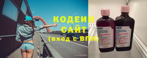 крисы Абаза