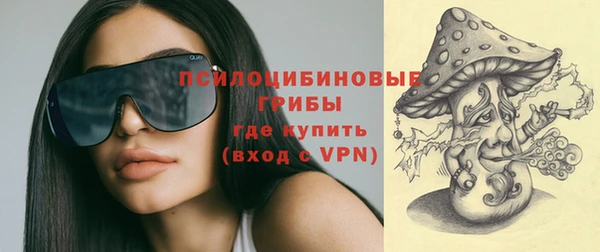 крисы Абаза