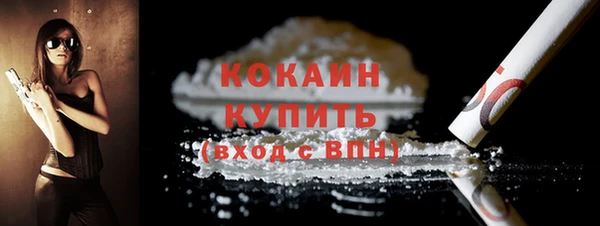 крисы Абаза