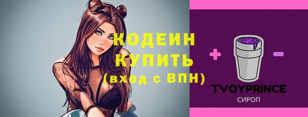 крисы Абаза
