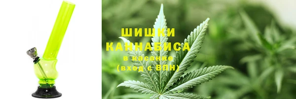 крисы Абаза