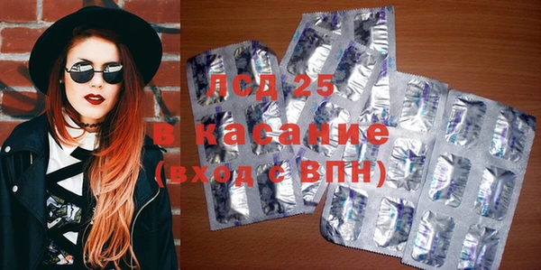 крисы Абаза