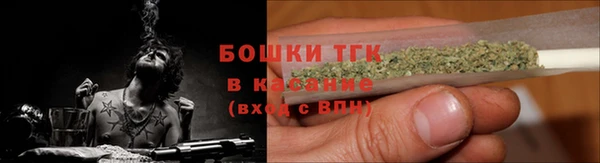 крисы Абаза