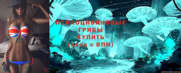 крисы Абаза