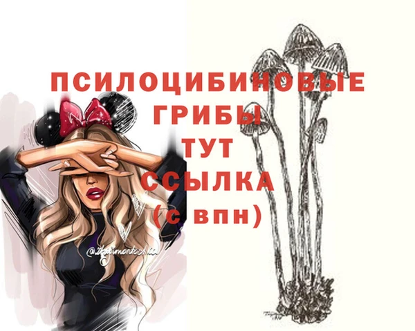 apvp Абинск