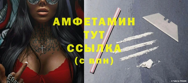 крисы Абаза