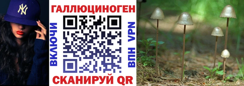 Псилоцибиновые грибы Cubensis Серпухов