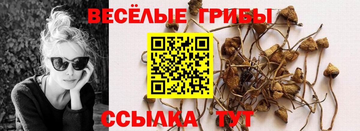 Галлюциногенные грибы MAGIC MUSHROOMS Серпухов
